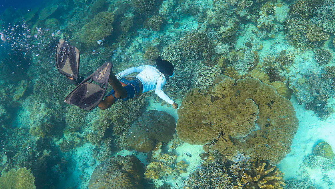Person snorkeling down into a reef