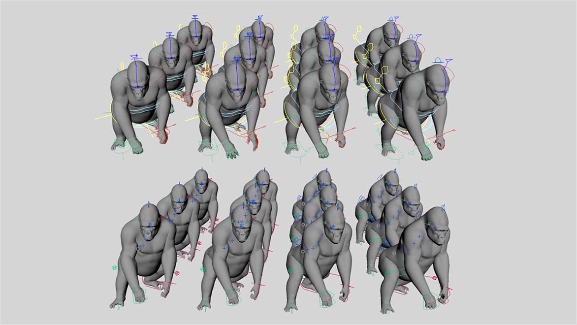 A rendering showing two rows of 12 gorillas rendered in Maya